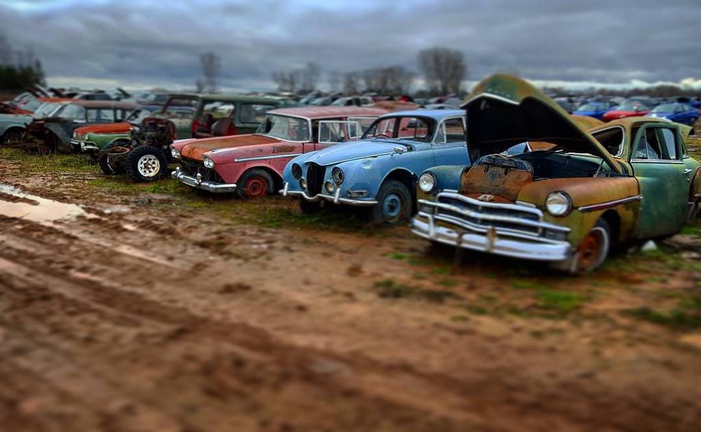 oldcar_photo's tweet photo. Just another view of some of the #classiccars i sow when i went to the local #picknpull i really like that light bl… https://t.co/6DpRKmKOvO