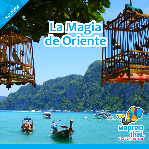 Mapraothai's tweet photo. ¿Calor? Te regalamos un poquito de Tailandia para que te conectes con la magia de oriente #MapraoAdictos #MapraoThai https://t.co/KAGmunQBJF