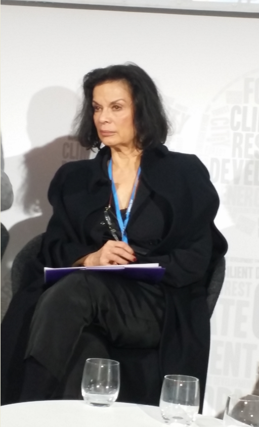 Connect4Climate's tweet photo. "We need a non violent revolution" says @BiancaJagger at #COP21. #Film4Climate https://t.co/HdZBqg3ymR