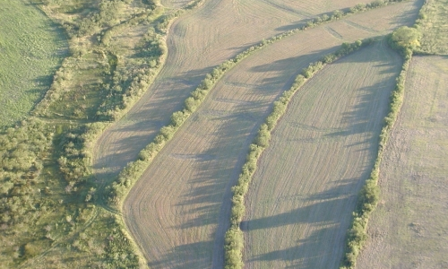 INTAInforma's tweet photo. La erosión pone en peligro la sustentabilidad de la agricultura, un artículo para tomar nota https://t.co/5a6S2zRFON https://t.co/wnz7DKf9In
