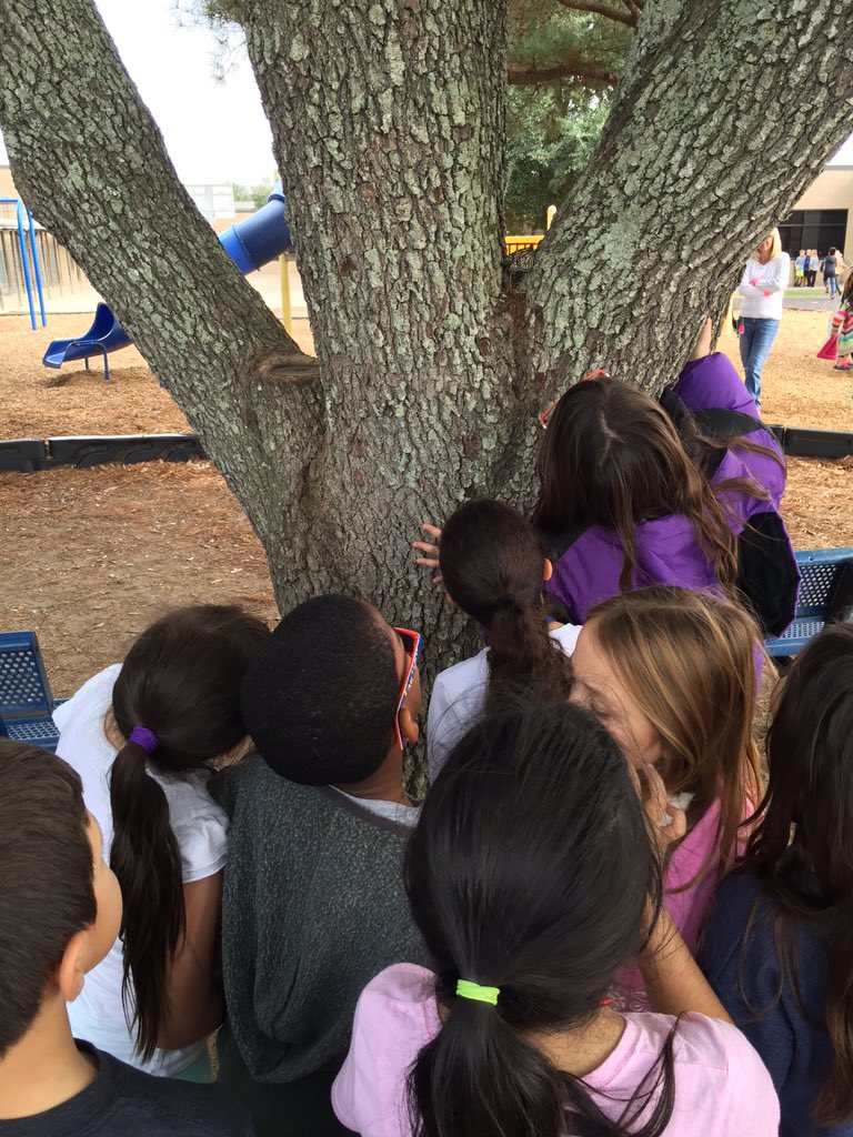 mrsstevensNCE's tweet photo. Bye, bye little butterfly!  Go fly! @MrsRossNCE #ncepride #mrsstevenspoetry https://t.co/KzWdLl57TW