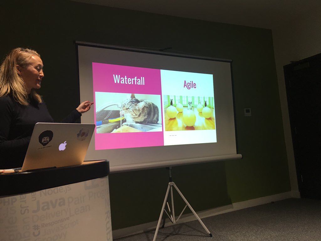 aimafidon's tweet image. Waterfall vs #agile - with cats - #leedstechhub