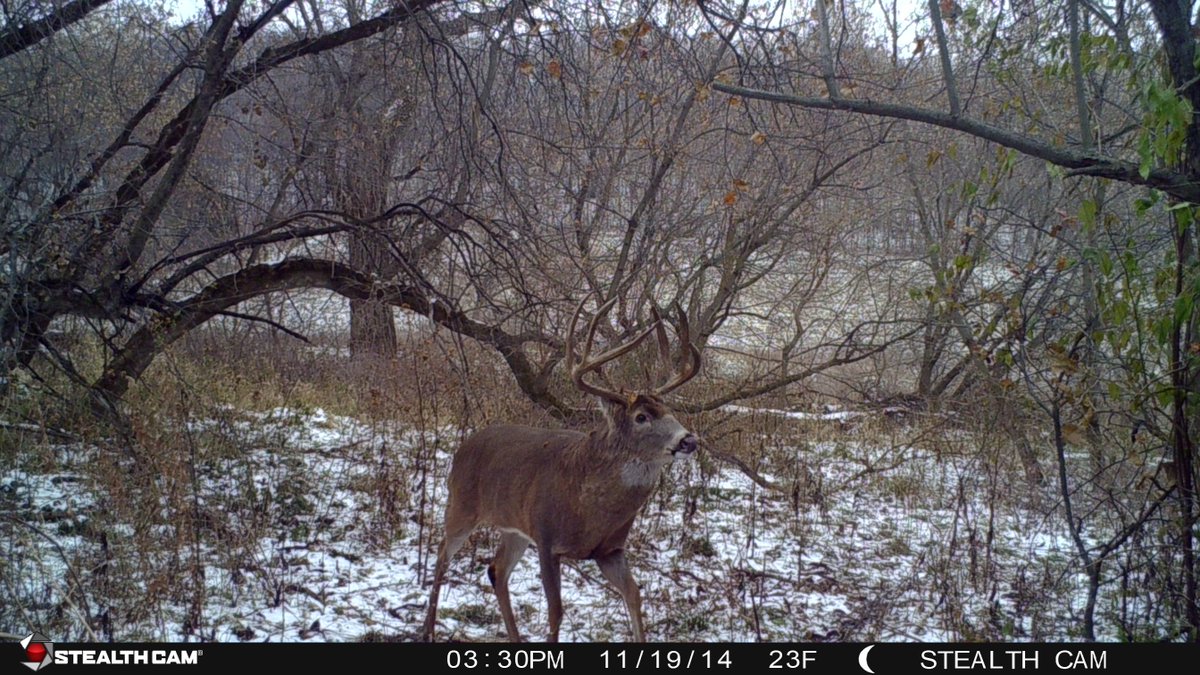 CarbonExpress's tweet photo. 5 Tips for #HuntingWhitetail During the #SecondRut
https://t.co/7SIj05L2X9 https://t.co/UmP2Tc4nZX