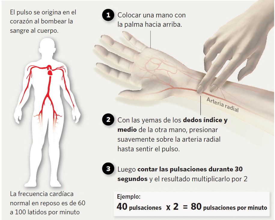 Como tomar antibióticos sin dañar el estómago