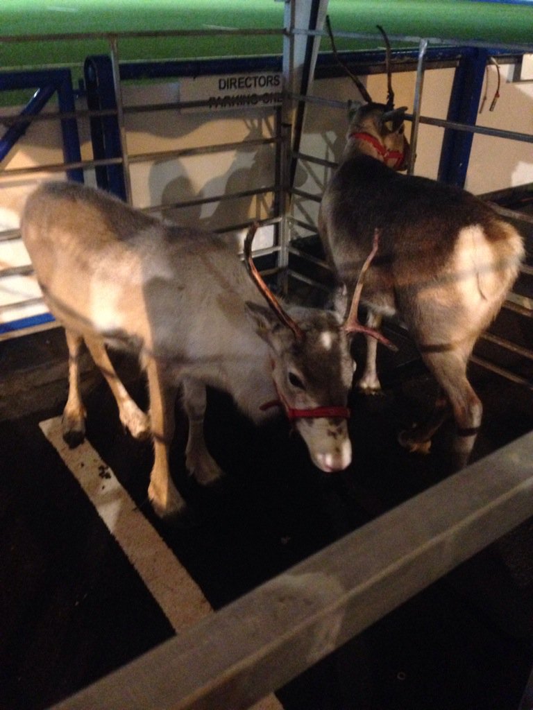 AtriumCU's tweet image. #Cardiffcarols