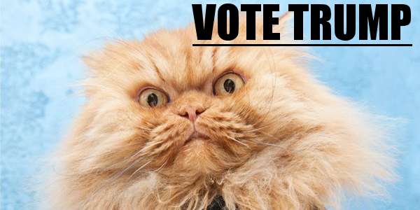 ObamaTP's tweet photo. #HolidayAdviceFromTheCat #VoteTrump2016 https://t.co/FBH3TFKW5k