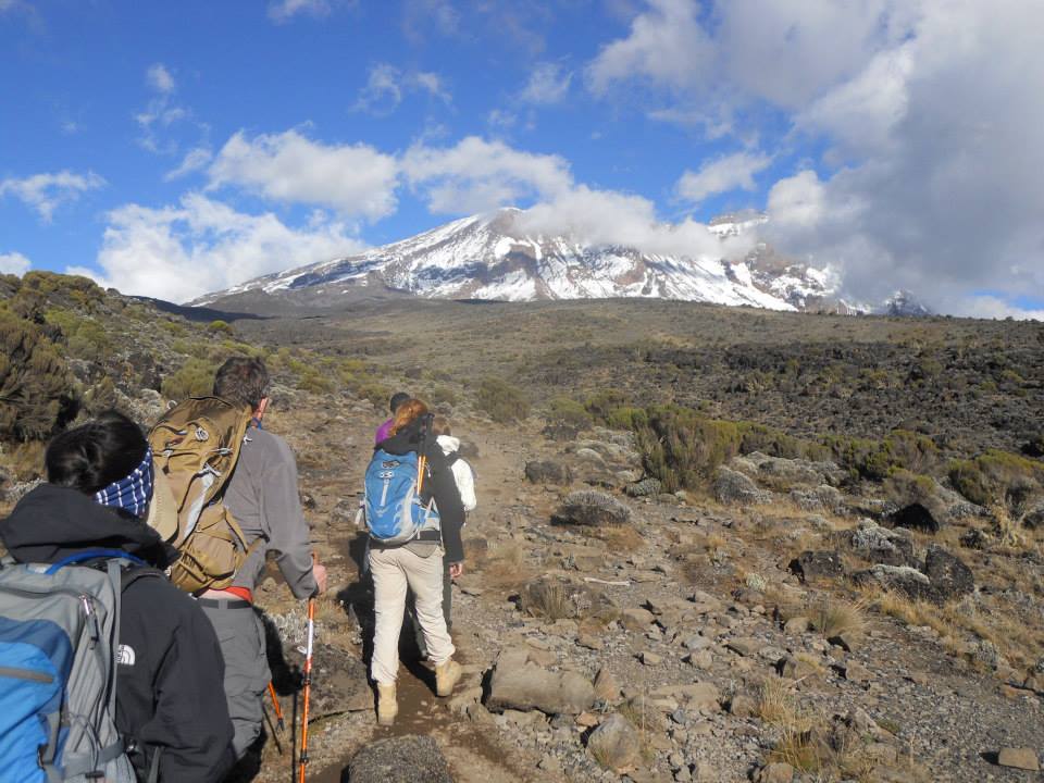 AccentAdventure's tweet photo. #summit #Kilimanjaro in #Tanzania, on ths 9 day #adventure wth #AccentAdventures!
https://t.co/uNrLLi1p8U
@gunnertae https://t.co/ofUaj59PXI