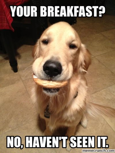 ryanreede's tweet photo. Thanks @Brueggers Chestnut Hill for the bagels in #is6621 this evening!!! https://t.co/rFhvtWHp2g