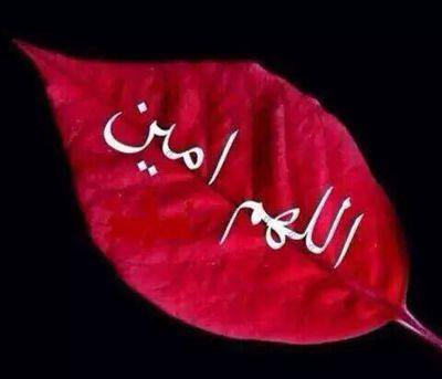 9lbbb's tweet photo. ..

ربِّ بلّل تربة قبر أبي  بـِ قطراتٍ من خيرك واجعل نسائم الجنه تهب عليه🌸💭 https://t.co/vdCwLIJ4AT