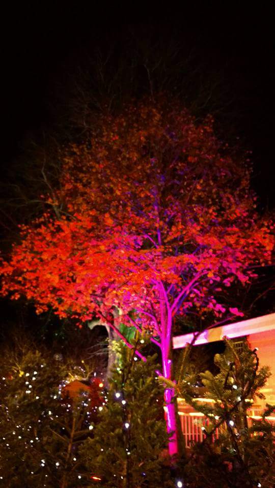 laurella1976's tweet image. @WinchesterChat @hantschronicle loving the Christmas Market