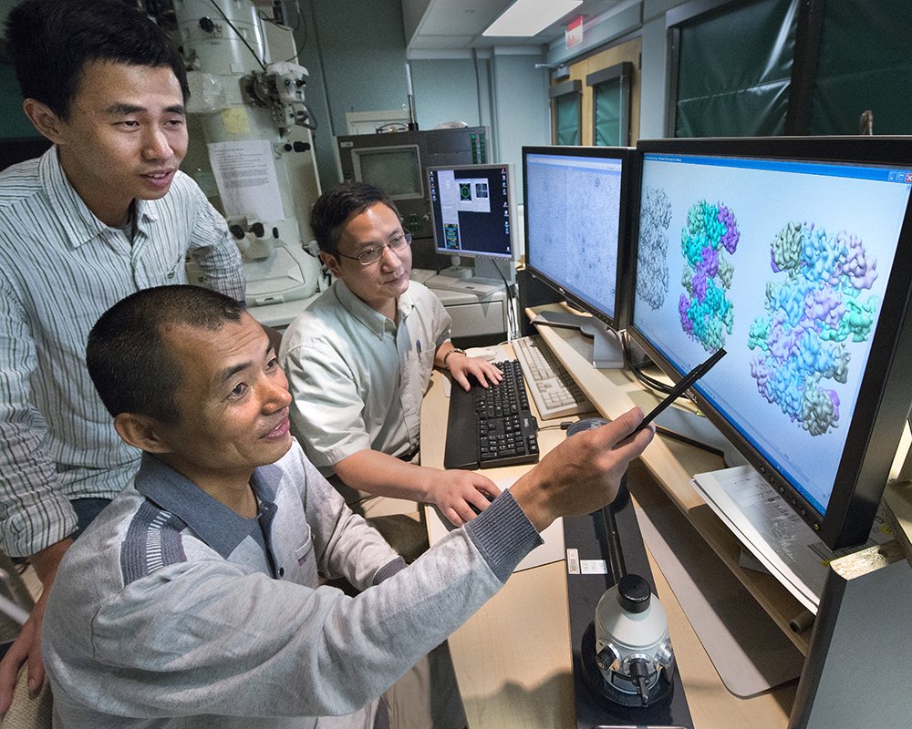 sbunewsdesk's tweet photo. .@StonyBrookU. Research Team Achieves First Image of Molecular Machinery that Copies #DNA #GoLIsci https://t.co/vSAat7Qbq0