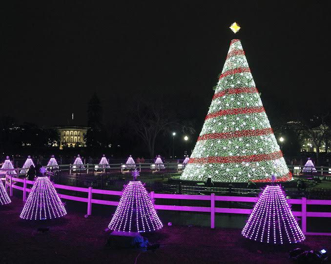 It’s show time! Watch @TheNationalTree Lighting live at prks.org/NCTL2015! #NCTL2015 #FindYourPark