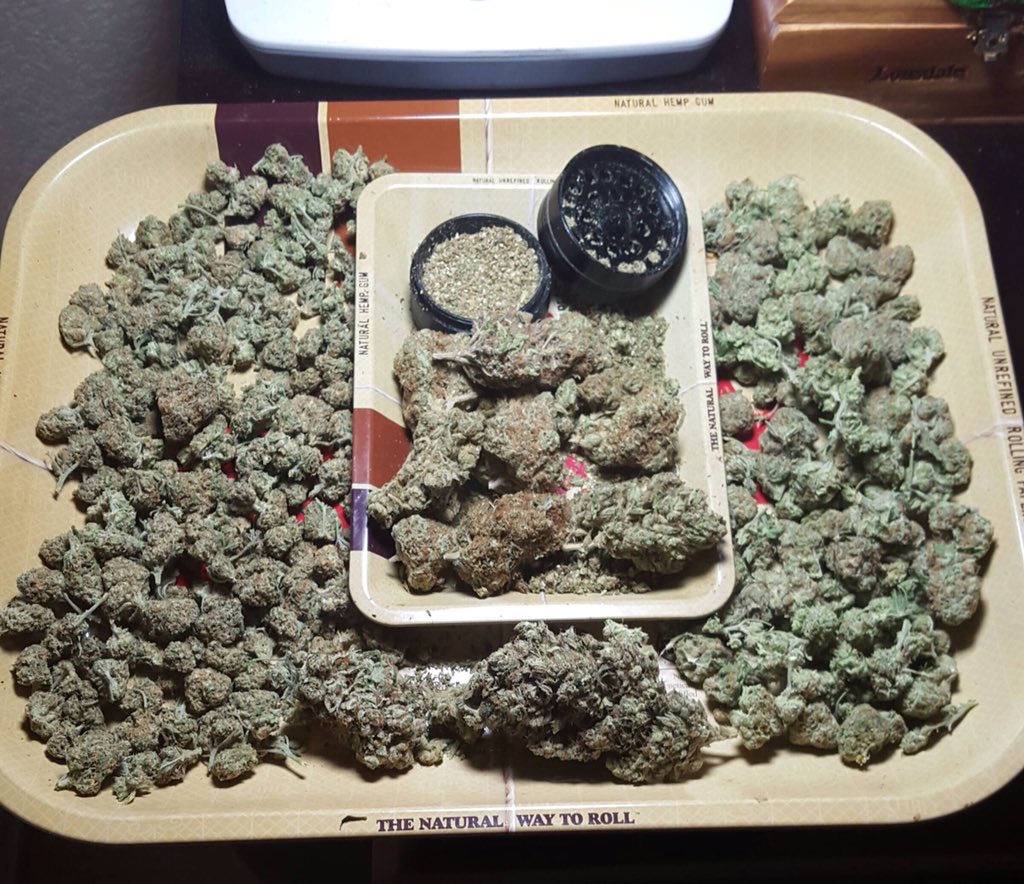 Learn About Weed tweet media