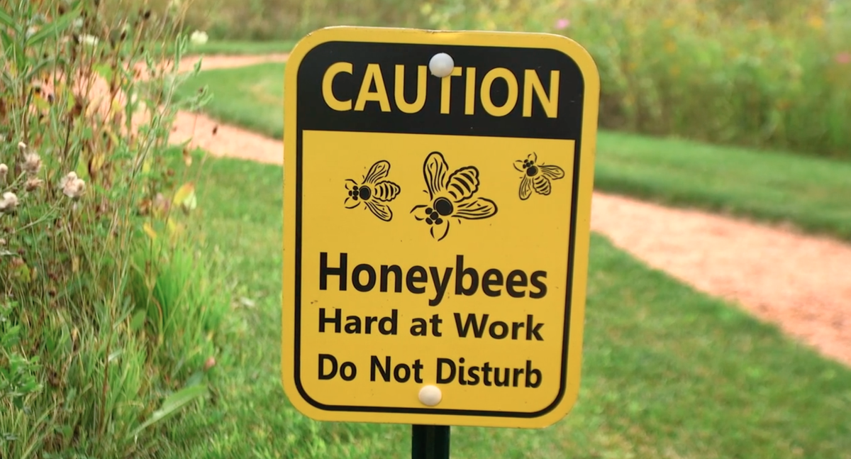GCSAATV's tweet photo. Learn how Bryan Bergner created and maintains a honey bee habitat at Westmoor Country Club: https://t.co/5a1NE8hAaY https://t.co/kmrjebwRjo