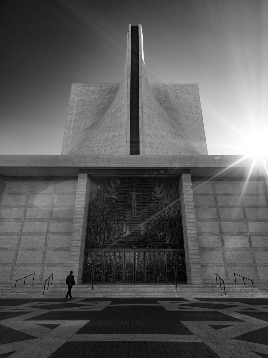 pixelanche's tweet image. Touched by the light. #photography