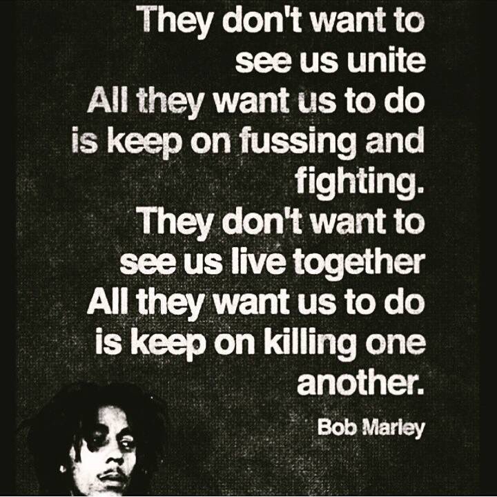LogeBear's tweet photo. https://t.co/wdamyqMtB7