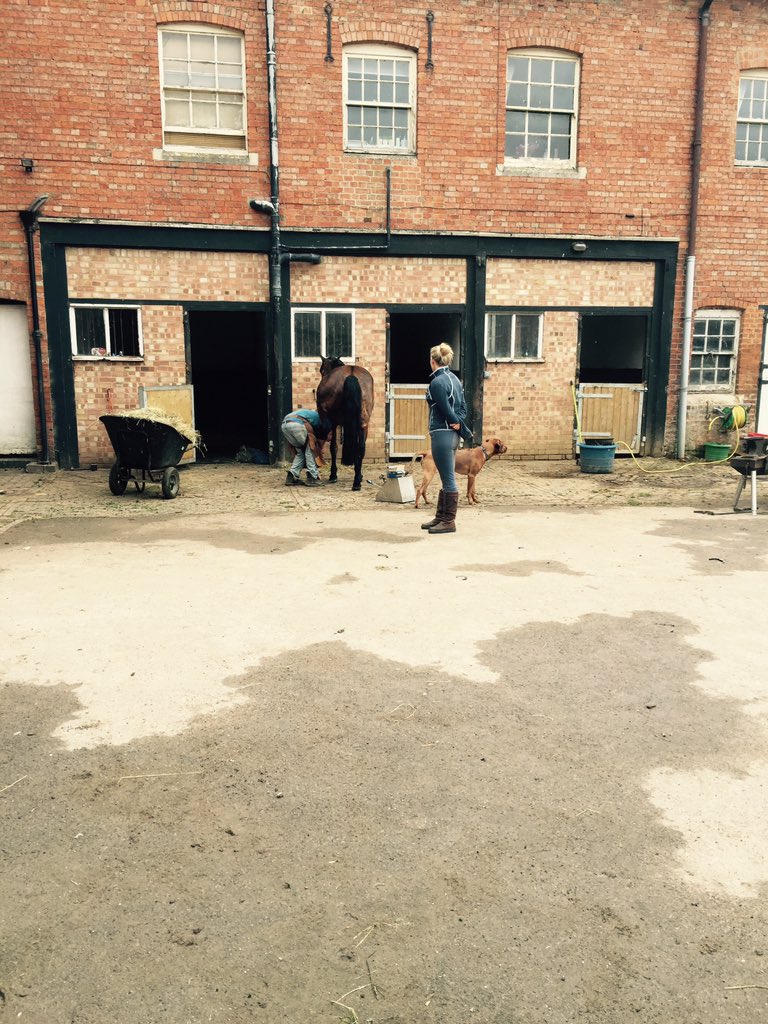 rwstables tweet picture
