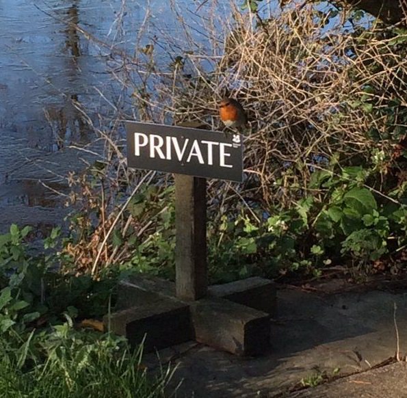 Embedded image permalink