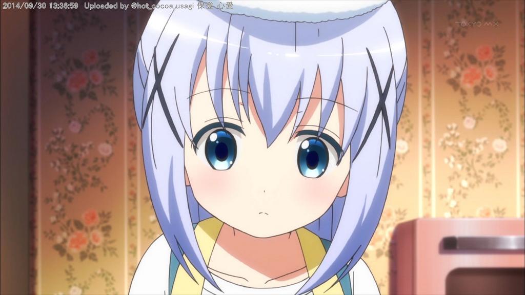 チノたん