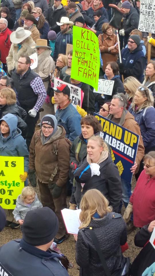 ABsfarmvoice's tweet photo. We're all farmers and ranchers don't let the government divide us #AbAg #ABLeg #ABPoli #Bill6 #KillBill6 #Solidarity https://t.co/rJFQTOy1qD