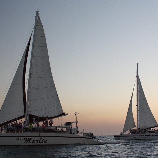 The #MarlinDelRey #Sailing Catamaran will set #sail and you will hear the #waves slide along the giant #catamaran.