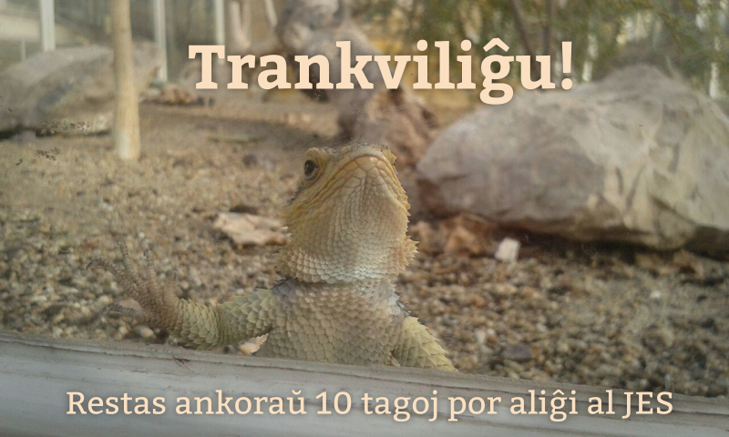 JESemajno's tweet photo. #restasnur10tagoj #trankvilealiĝu #niatendasJES #simplevenu https://t.co/eLxHTmHdua