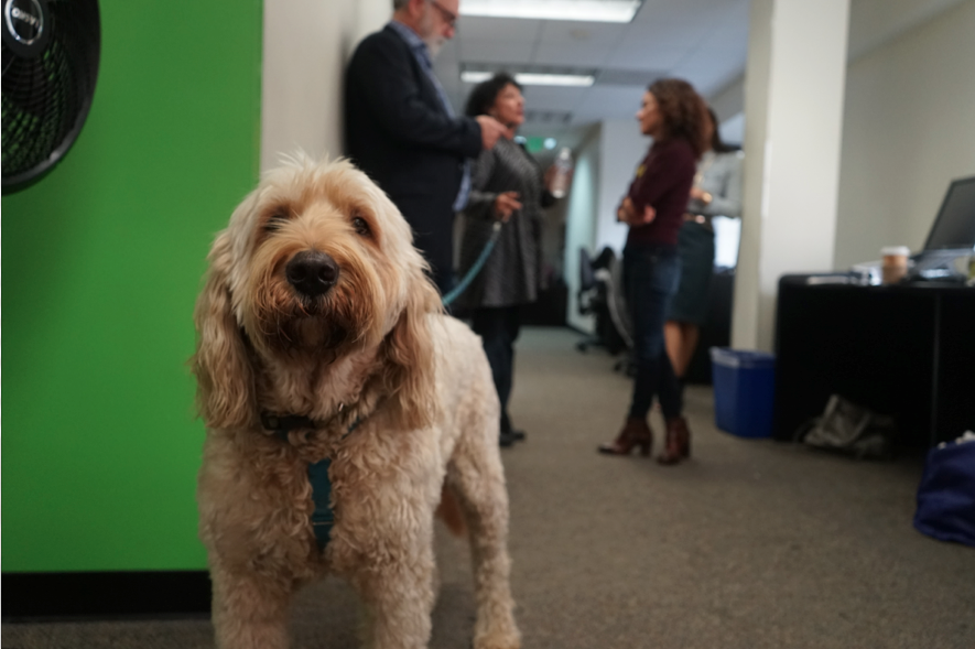 OGpenn's tweet photo. Sidebar: While researching, I found out that @TheRealFreada &amp; @mkapor have an awesome dog! #RealTech #YRTalksTech. https://t.co/BXBQYoI0HA