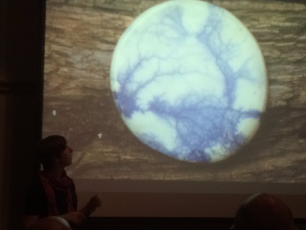 Nodes_Networks's tweet image. Natalie Andrews makes beautiful ceramic designs with slime mould growth #PhysNet2015 #NodesNYC