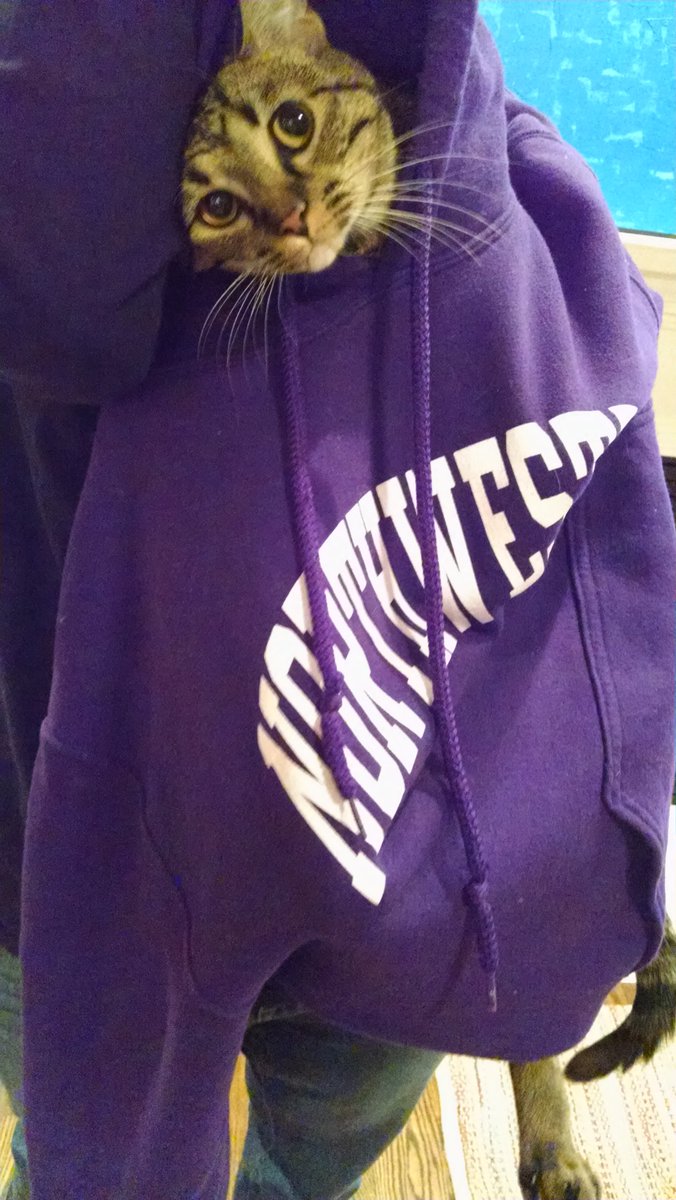 KString tweet picture