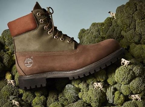 beef and broccoli timberlands