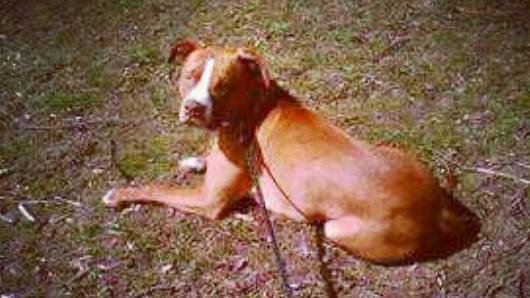 Maria Velazquez tweet media