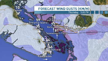 cbcnewsbc's tweet photo. B.C. windstorm cancels ferries and Harbour Air flights  https://t.co/K20DYU55wg https://t.co/ViYpxmiNC1