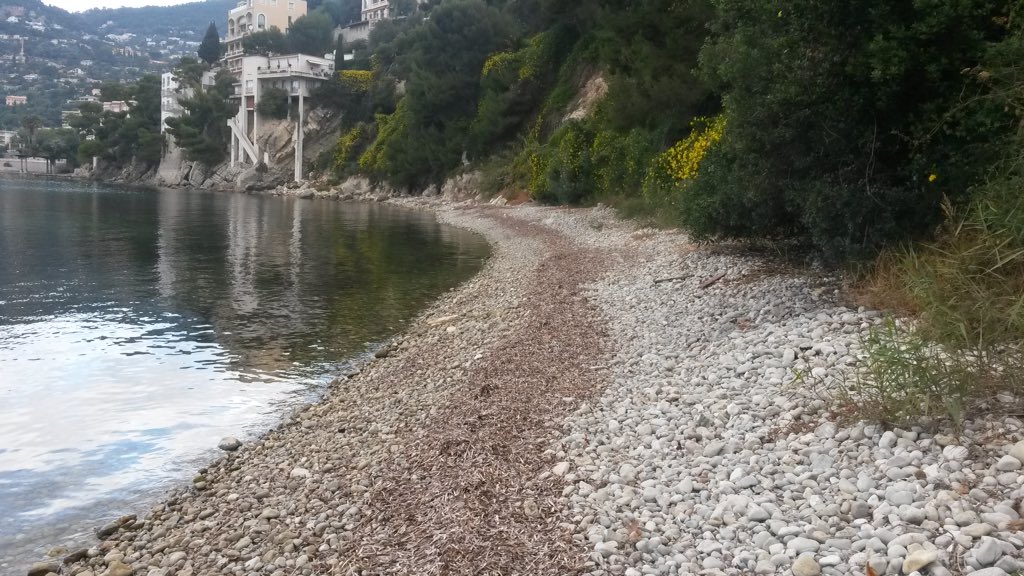 PaddleCleaner's tweet photo. Aujourd'hui sur la Plage de passable nettoyer il y une semaine, pour constater le résultat... @MetropoleNCA https://t.co/jzX9wsCxnY
