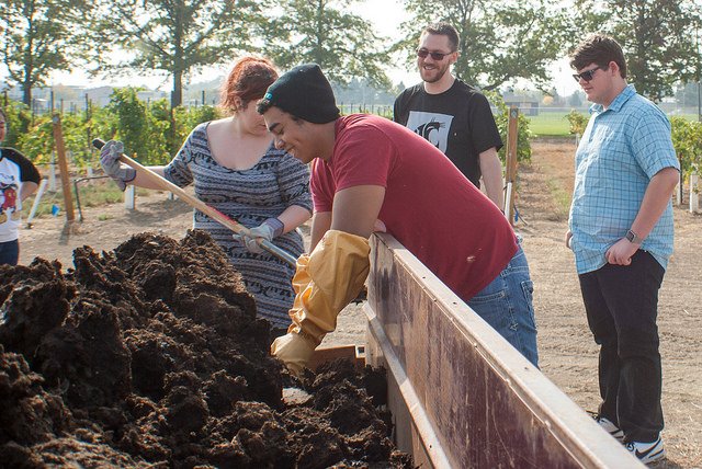 WSUTriCities's tweet photo. Students @WSUTriCities using wine waste materials from #WineScienceCenter for composting https://t.co/h0IZsHJJ8W https://t.co/smXcad3fKe