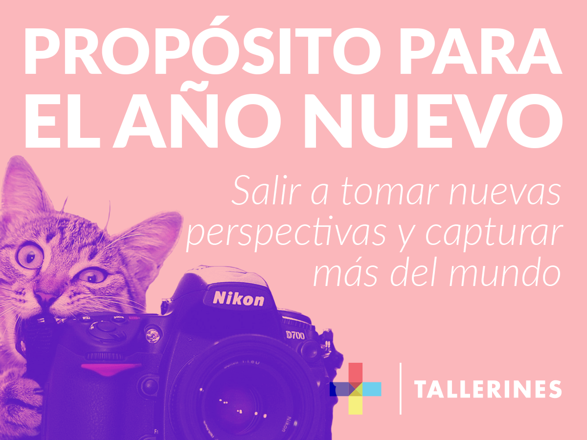 Propósito para el 2016 #3

#AñoNuevo
#Fotografía