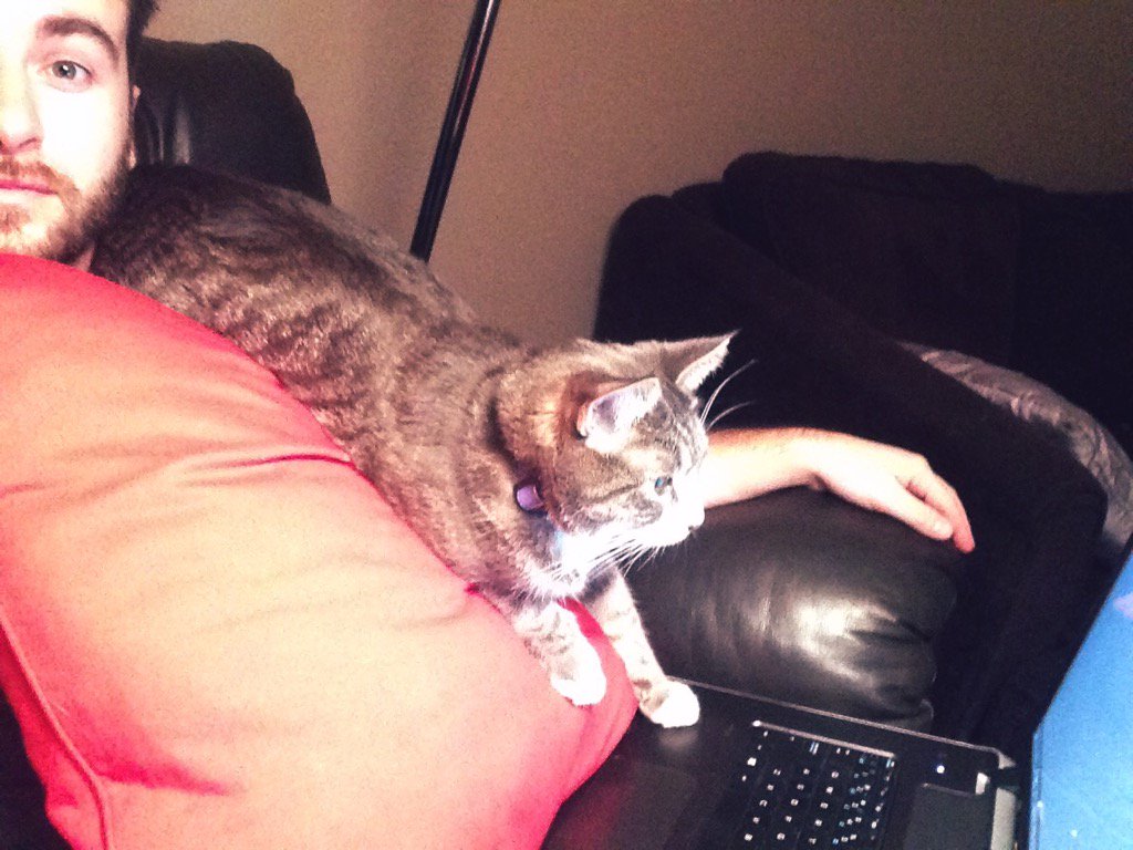 williamsonNBSJ's tweet image. Tried putting a barrier between my computer to discourage my cat from sitting there..no such luck. #catcoder #darwin