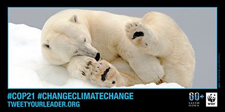 conrad_jonathan's tweet photo. #COP21 is your chance to #changeclimatechange @TurnbullMalcolm. I pledge to put the planet first, will you? https://t.co/i5WOXXhj8t