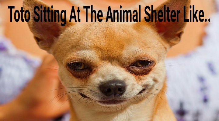 JewelzBaby's tweet photo. #TheWiz #TheWizLive #BlackTwitter #FindToTo https://t.co/Tz3xq2UsBR