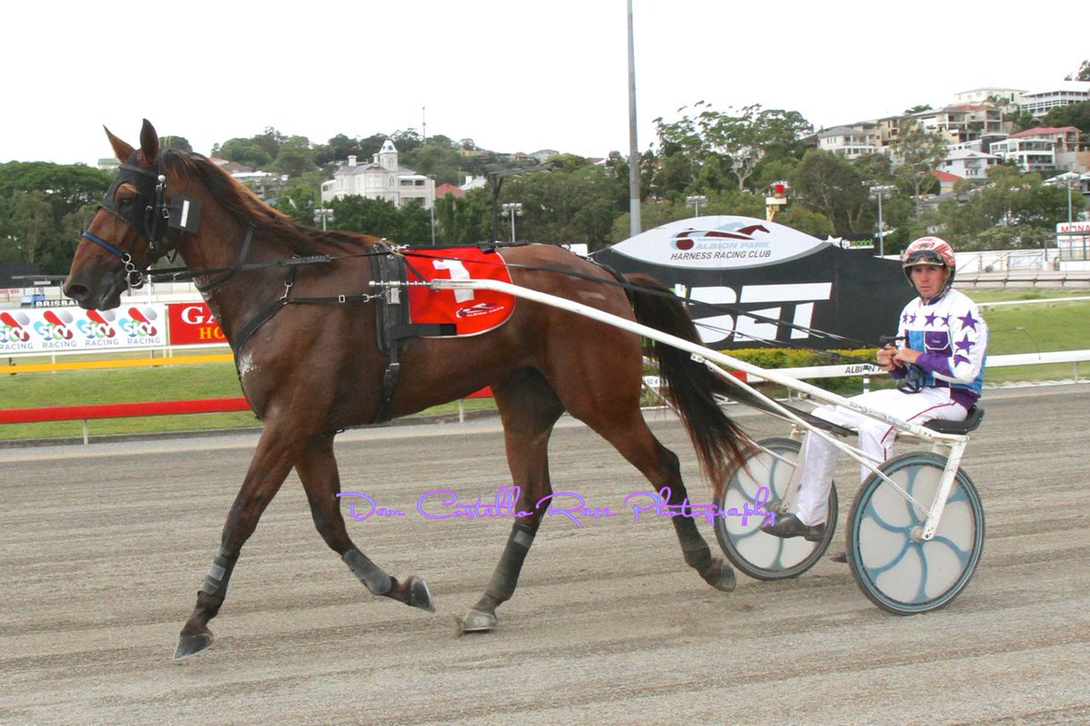 Dan Costello (@danracingwrap) on Twitter photo <a href="/McmullenPeter/">peter mcmullen</a> gets My Precious Fling home for Birthday Girl <a href="/ChantalTurpin/">chantal mcmullen</a> in R1 @AlbionParkHRC HAPPY BIRTHDAY <a href="/McmullenPeter/">peter mcmullen</a> gets My Precious Fling home for Birthday Girl <a href="/ChantalTurpin/">chantal mcmullen</a> in R1 @AlbionParkHRC HAPPY BIRTHDAY