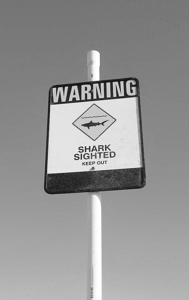 Surfer Lyfe tweet media