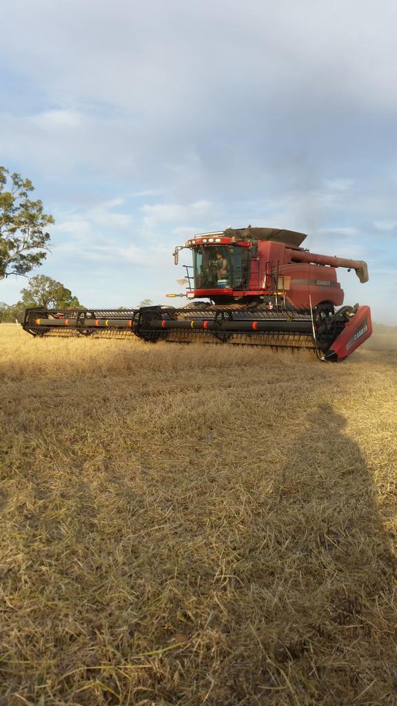 Gav Hawkins tweet media