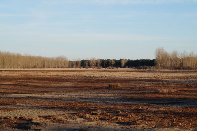 El humedal del Espadañal #cuellar seco en Diciembre cuellar7.com/el-humedal-del… .<a href="/IU_CUELLAR/">IU CUELLAR 🔻</a> <a href="/SEO_BirdLife/">SEO/BirdLife</a> <a href="/ecologistas/">Ecologistas en Acción</a>