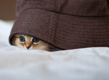 Emma Swan (@not_a_savior) on Twitter photo 