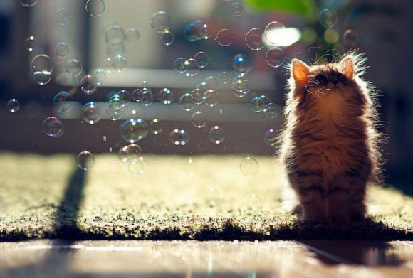 Emma Swan (@not_a_savior) on Twitter photo 