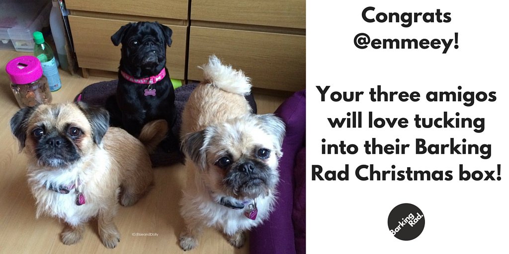 Barking_Rad's tweet photo. Well done to @Emmeey on winning our Christmas #competition! https://t.co/wjjaneLSFc