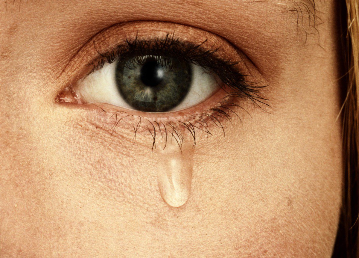 NYMag tweet picture