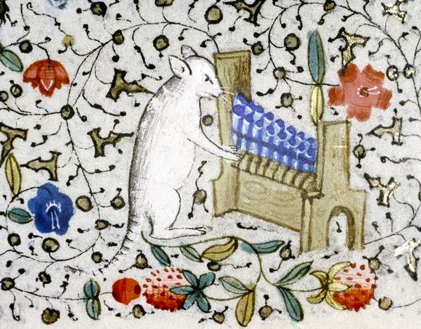 Embedded image permalink