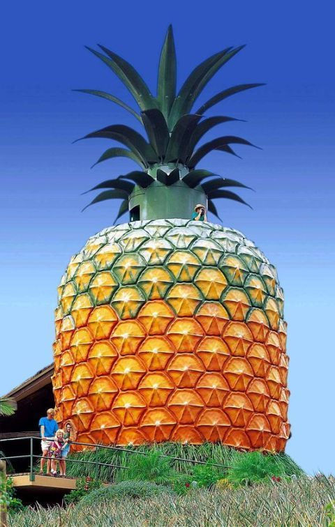 mccormackprop's tweet photo. Think big! As big as the BIG Pineapple on the Sunshine Coast #AustralianLandmarks https://t.co/Yn2H8eKGM7