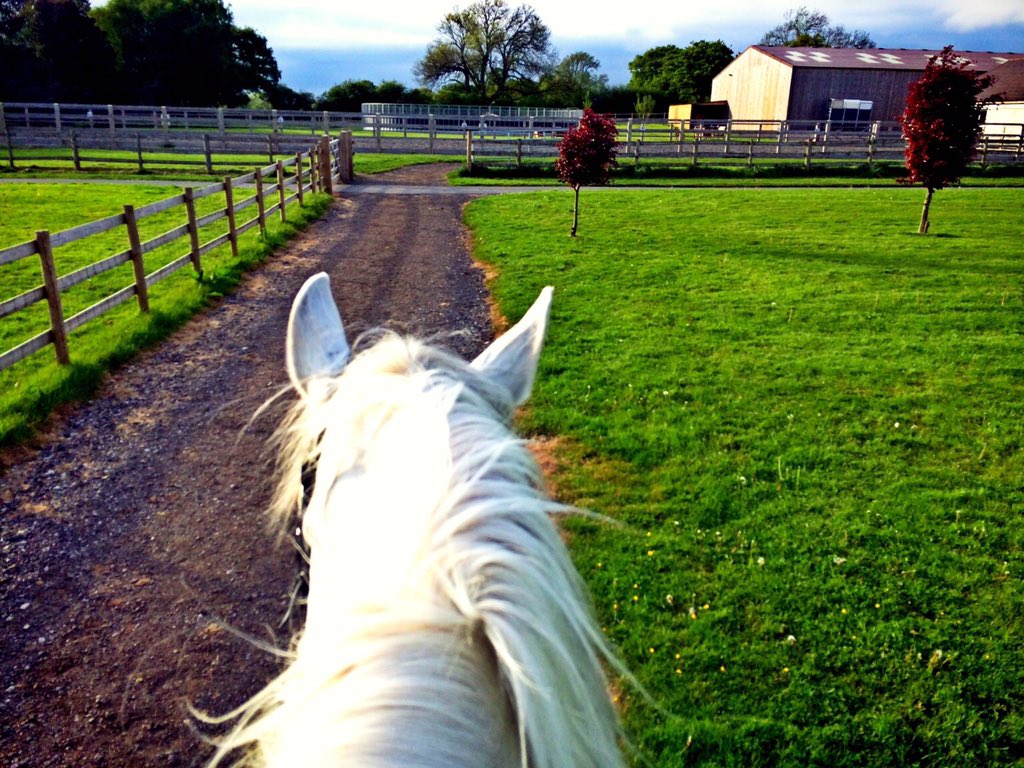 PrioryFarmEquestrian tweet media