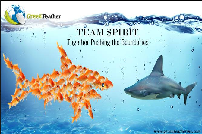 feathersolution's tweet image. Talent wins games, but #TEAMWORK and INTELLIGENCE wins Championships.!!
greenfeatherinc.com